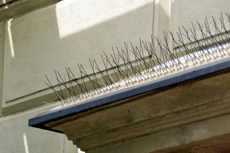 Bird Spikes Installation