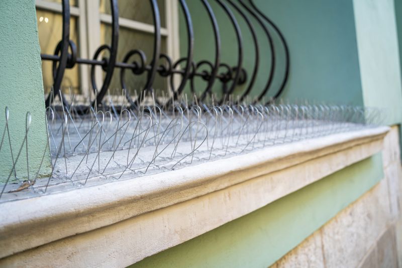 Bird Spike Installation on Window Sills