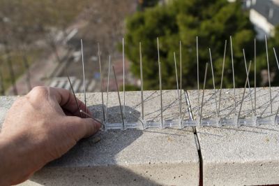Bird Spike Installation on Gutter Edges