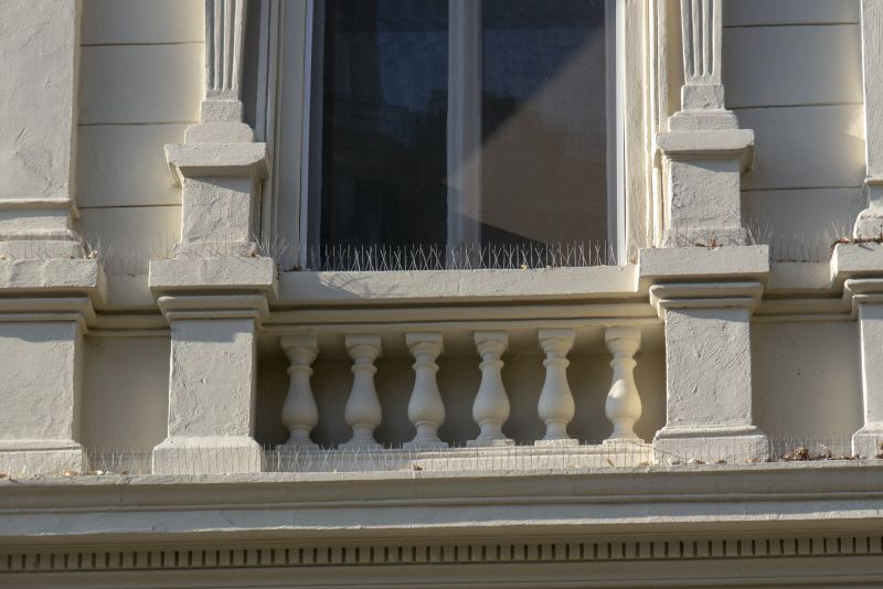 Bird Spike Placement on Windowsills