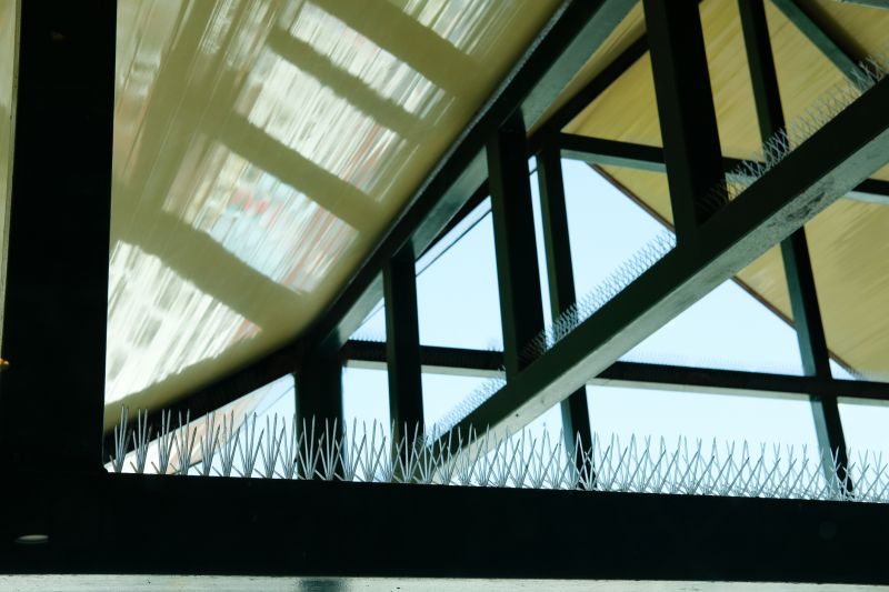 Budget-Smart Upgrades