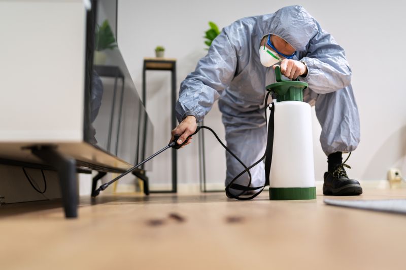 Fumigation Service in Fort Myers, FL