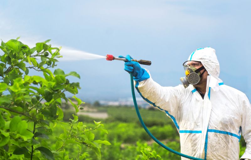 Fumigation Service in Oklahoma City, OK
