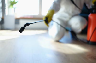Pest Fumigation Service in Toledo, OH