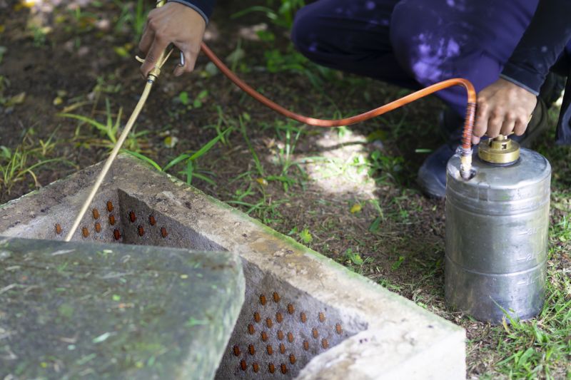 Pest Fumigation Service in San Antonio, TX