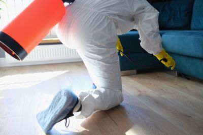 Residential Fumigation in Madison, WI