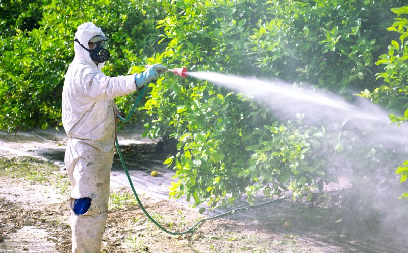 Fumigation Service in Santa Fe, NM