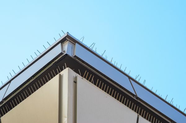 Sparrow Spike Installation